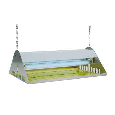 Flytrap Commercial 40